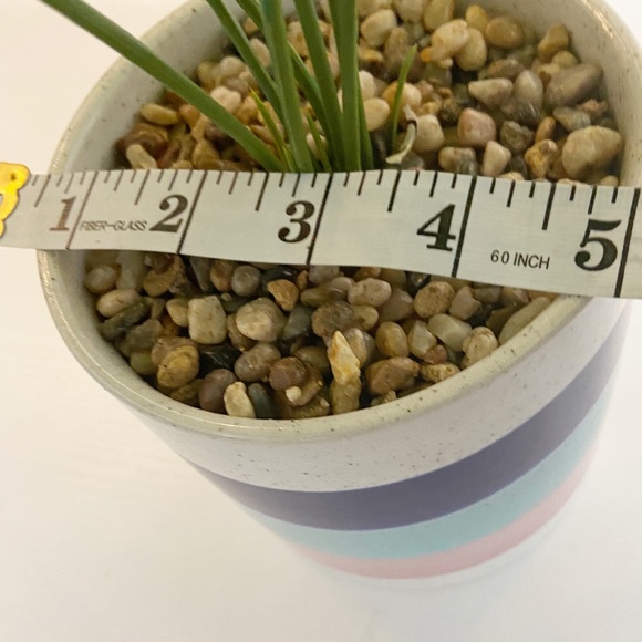 Faux Monstera Deliciosa Plant in Colorful Pot - Picture 11 of 15